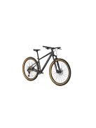 FOCUS WHISTLER 3.9 29" MTB KERÉKPÁR