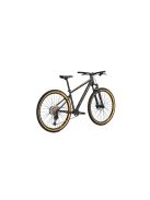 FOCUS WHISTLER 3.9 29" MTB KERÉKPÁR